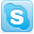 Skype icon