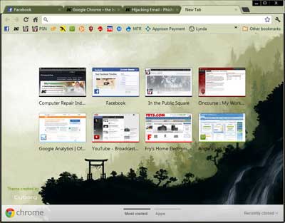 Google Chrome Browser Example